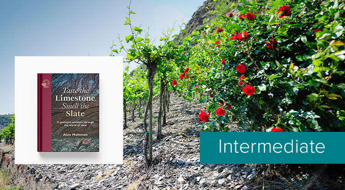 Tasting-level-events-taste-the-limestone.jpg (1)