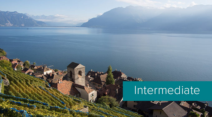 Swiss-tasting-level.jpg